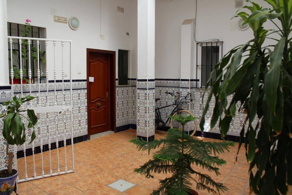 Cdz - Casa De Los Viajeros Pasquin Cadiz Ngoại thất bức ảnh